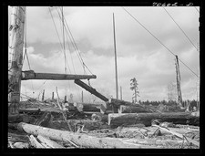 Cowlitz County Washington Long Bell Lumber Co 1941 Yarding Logs Lumbering picture