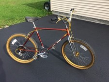 SCHWINN SIDEWINDER - 10 SPEED - 1982 picture
