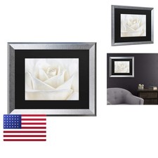 Trademark Fine Art 'Pure White Rose' Black Matted Silver Frame 11x14 picture
