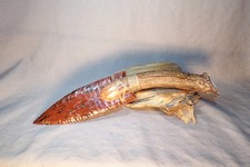 Large Mahogany Obsidian Fox Ear Knife Flint Knapping Antler Handle Black Powder picture