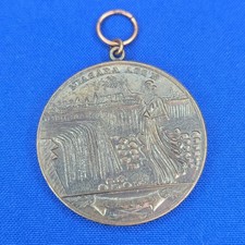 Vintage1975 Amateur Athletic Union (A.A.U.) Award Medal Niagara Association picture