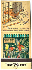RARE MIAMI, FL 1940'S- MACAWS, PARROT JUNGLE, GIANT 
