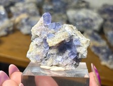Bingham Area Blue Fluorite Cluster | Natural New Mexico Cubic Fluorite | picture