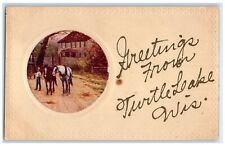 c1909 Greetings From Horses Turtle Lake Wisconsin WI Vintage Antique Postcard picture