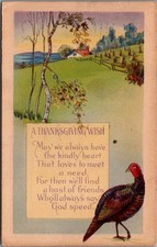 1924 Thanksgiving Turkey Postcard Chicago Postmark Walden Colorado Addressed picture