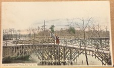 1905 Allenhurst NJ, Rustic Bridges, Monmouth County,  Postcard picture