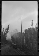 Ryderwood Washington 1941 Lumberjacks Crummies Long Bell Lumber Company picture