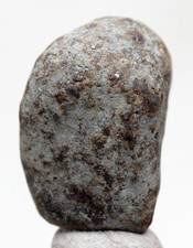 NWA 515 Tumbled Chondrite Meteorite Individual Specimen Stony Space Rock AFRICA picture