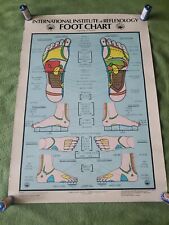 Vintage Reflexology Foot Chart Poster Medical 1973 picture