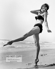 BARRIE CHASE ACTRESS AND DANCER PIN UP - 8X10 PUBLICITY PHOTO (DD-013) picture