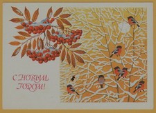 1988 Bullfinch Birds Rowan Berries Christmas Happy New Year ART USSR Postcard picture