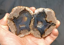 375g/0.83 lb turkish thunderegg  agate stone rough, customs duty included picture