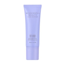 Meaningful Beauty Beyond Environmental Protecting Moisturizer Broad Spectrum picture