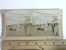 Dawson City Klondike Business Street Stereoview George W. Griffith 1900 Gold picture