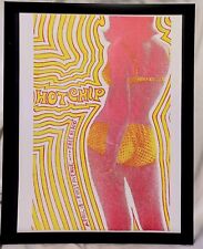 HOT CHIP 2008 Minneapolis 11x14 FRAMED Vintage Concert Tour Poster Art Print picture