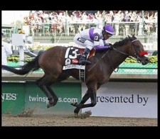 2016 Kentucky Derby Winner Nyquist PHOTO Horse Racing Churchill Downs picture