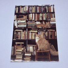 Vintage Postcard “Cats At Work” Gotham Book Mart & Gallery New York P5 picture