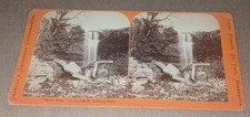 Zimmerman Stereoview St Paul Minnesota Fawns Leap on Road to St Anthony Falls picture