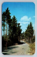 Higgins Lake MI-Michigan, Scenic Road Greetings, Antique, Vintage Postcard picture