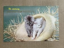 Postcard Sheffield Illinois Greetings Cats Kittens In Basket Vintage PC picture