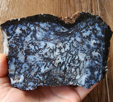 2.9 lbs (1.32 kg) Dendritic Agate Rough, Blue Agate Rough, Dendrite Agate Rough picture