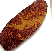 rle POPPY JASPER SLAB, POPE CREEK, CALIF. NICE 7