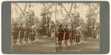 INDIA STEREOVIEW - Delhi Durbar - Baruda & Hyderabad Elephants - H Hands & Co picture