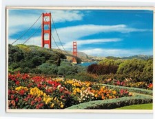 Postcard Carpet of fresh summer flowers Golden Gate Bridge San Francisco CA USA picture