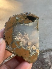 Priday Plume Agate (Oregon - End Cut) picture