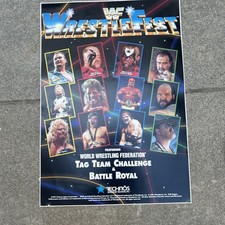 NOS original Wwf WrestleFest 1 Cabinet Sticker 17 X 23 3/4 ARCADE GAME ART picture