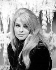 Julie Christie beautiful 1960's portrait in black sweater 4x6 inch photo picture