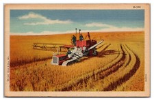 Harvesting Wheat With An Old Time Tractor picture