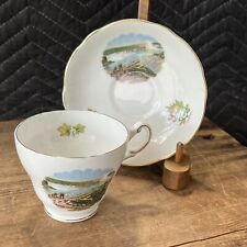 Vintage Bone China Niagara Falls Canada Souvenir Tea Cup Saucer Regency England picture