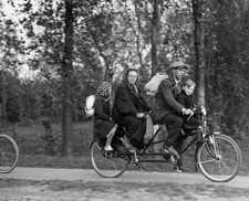 Belgian family fleas German Advance 8