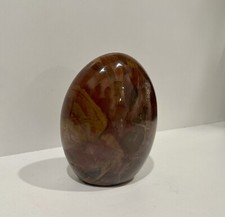 Petrified Wood Hand Polished Oval From Arizona USA Sphere Fossil Rock AZ 3 lb picture