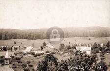 Bird's-Eye View Maple City No.1 MI Michigan RPPC Photo Postcard COPY picture