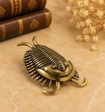 Mini Vintage Brass Trilobite Statue Ornament Animal Collectible Archeology Lover picture