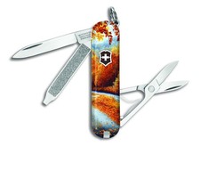 Victorinox Swiss Army FALL AUTUMN SCENERY CLASSIC SD Knife Multi Tool RH223 picture