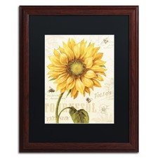 Trademark Fine Art Under The Sun I Black Matted Wood Frame Lisa Audit 16x20 picture