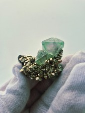 Green Flourite Octahedral with Pyrite Specimen from Mine Milpo Perú Flourite. picture