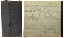 1901 antique DIARY watertown ny JANE L STEVENS FARM LIFE GRANGE WEDDING HISTORY picture