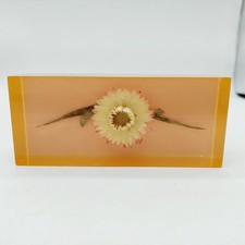 Lucite Rectangle Paperweight Dried Floral Made In Kenya Vintage picture