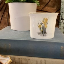 DAFFODIL BONE CHINA BUSINESS CARD Toothpick HOLDER-ROYAL WORCESTER, ENGLAND Vtg picture
