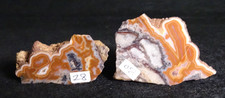 Lot of 2 Coyamito Pseudomorph Agates Polished Slabs Collector Lapidary Mexico picture