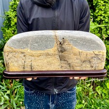 9.25LB Beautiful Natural Chinese Dendritic Limestone Picture Stone Guohua -Rare picture