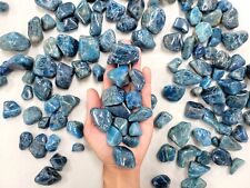 Tumbled Blue Apatite Crystal Stones Polished Healing Natural Gemstones Bulk picture