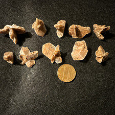 Lot of 10 Small Brown Crystal/Mineral Specimens - Multiple Pieces Specimen Lot picture