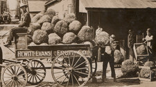 Exaggerated Strawberries Hewitt Evans Wholesale Fruit Co Martin Postcard co RPPC picture