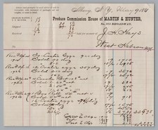 1881 Martin & Hunter Albany NY Produce Commission Billhead Receipt Ephemera picture