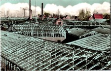 Rooftop View Greenhouses Smoke Stacks Aalsmeer Netherlands Tinted RPPC Postcard picture